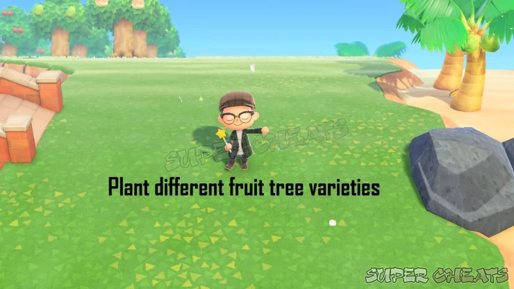 Plant Fruit Trees