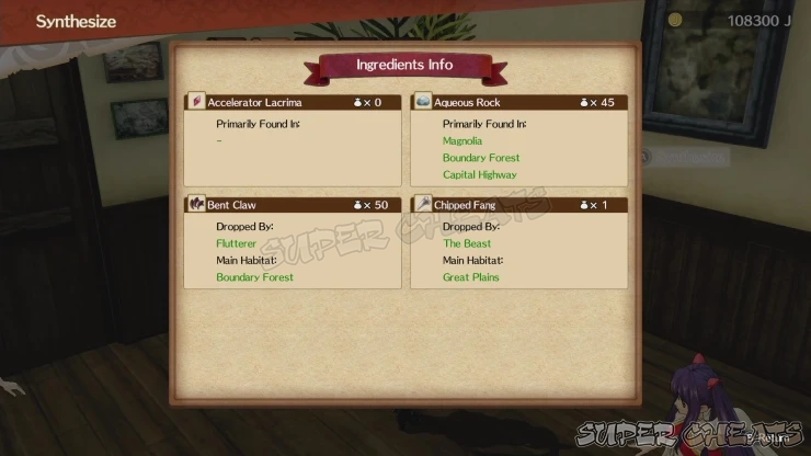 Guide Image