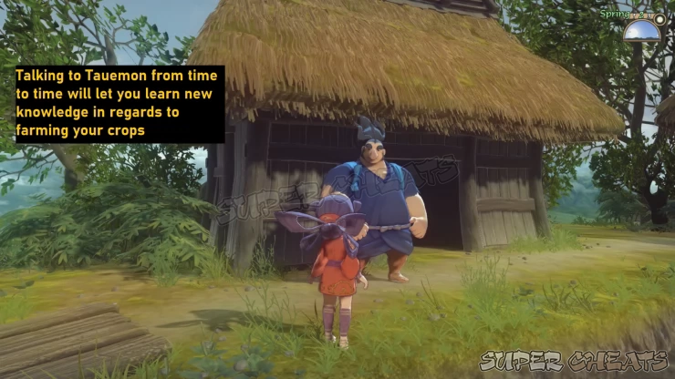 Talk to Tauemon near the Rice Paddy to learn about farming your rice