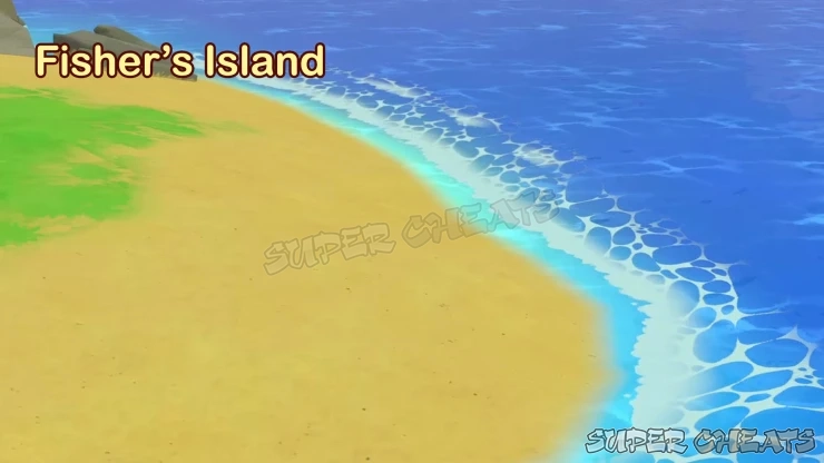 Guide Image