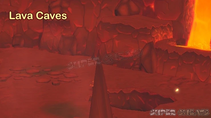 Guide Image
