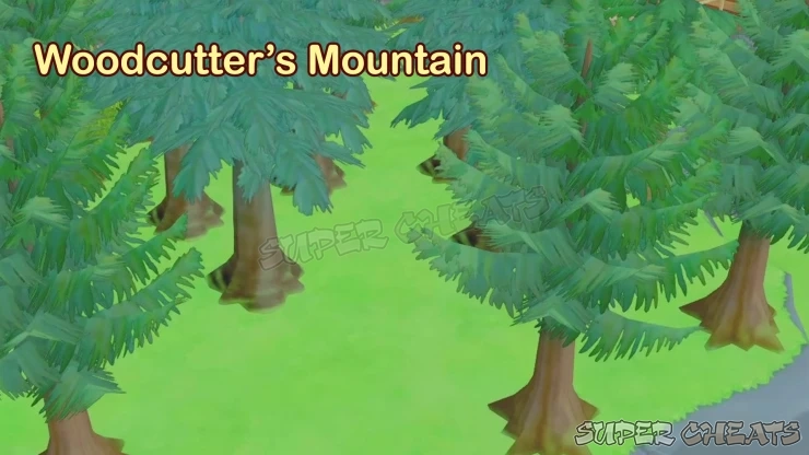 Guide Image