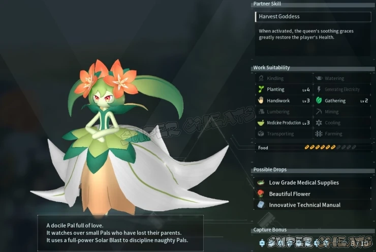 Guide Image