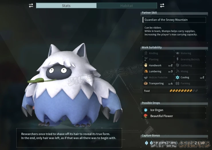 Guide Image