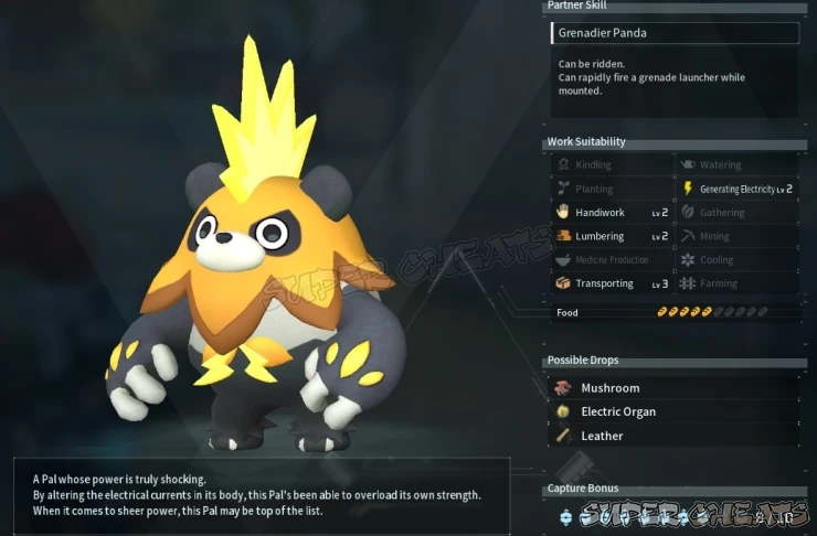 Guide Image