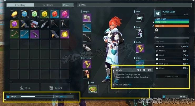 Guide Image