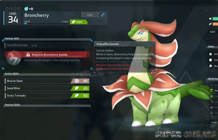 Guide Image