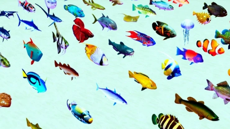 Roblox Be Fish codes to claim free rewards