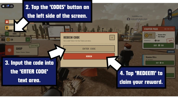 A Long Flight redeem code screen showing where to enter A Long Flight codes