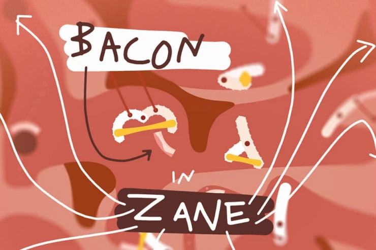 Bacon in Zane tips and codes
