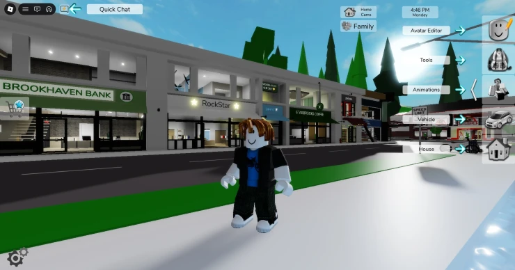 Roblox Brookhaven