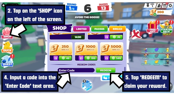 Duck Duck redeem code screen showing where to enter Duck Duck codes