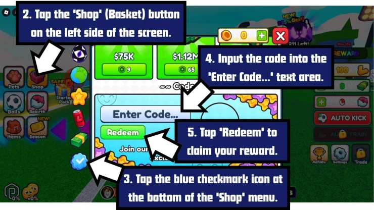 Soccer Training redeem code screen showing where to enter Soccer Training codes