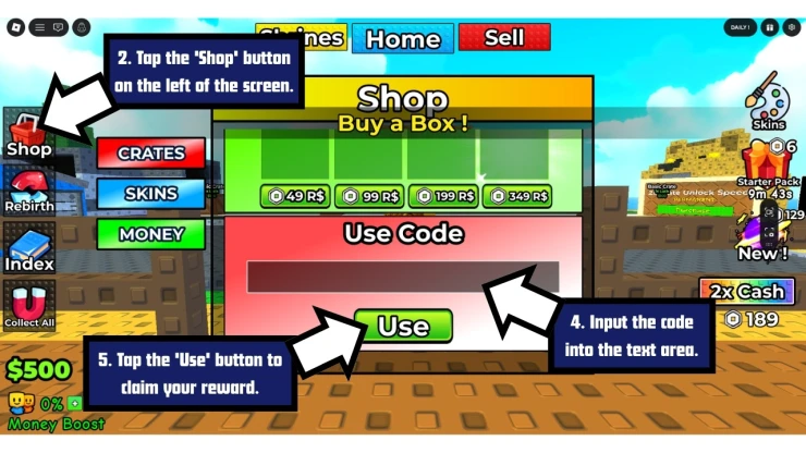 Your Zoo redeem code screen showing where to enter Your Zoo codes