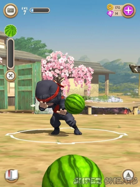Lob those watermelons at the ninja
