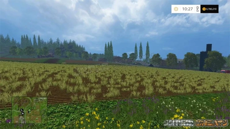 Each crop has three distinct stages - the first above - followed by a medium or flowered stage, and then ripe. Each crop has three distinct stages - the first above - followed by a medium or flowered stage, and then ripe.