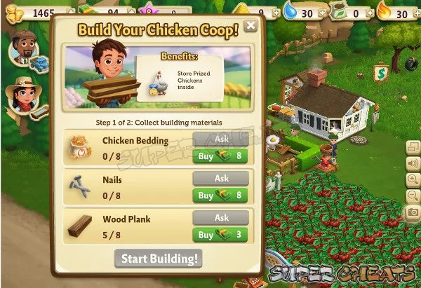 The Prized Chicken Coop Structure Construction Requirements