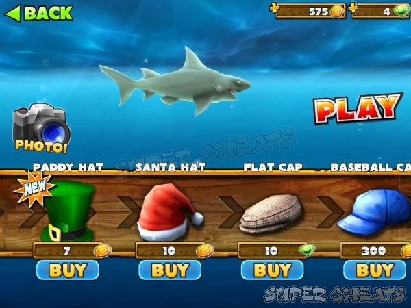Decorate your shark with a variety of accessories