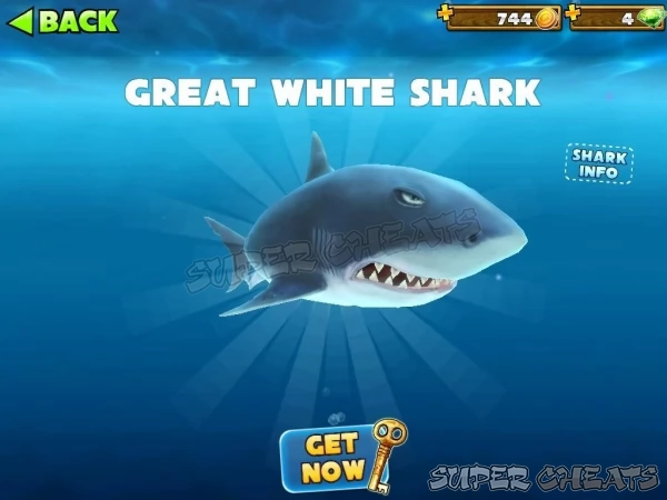 The Great White Shark is many people's favorite shark