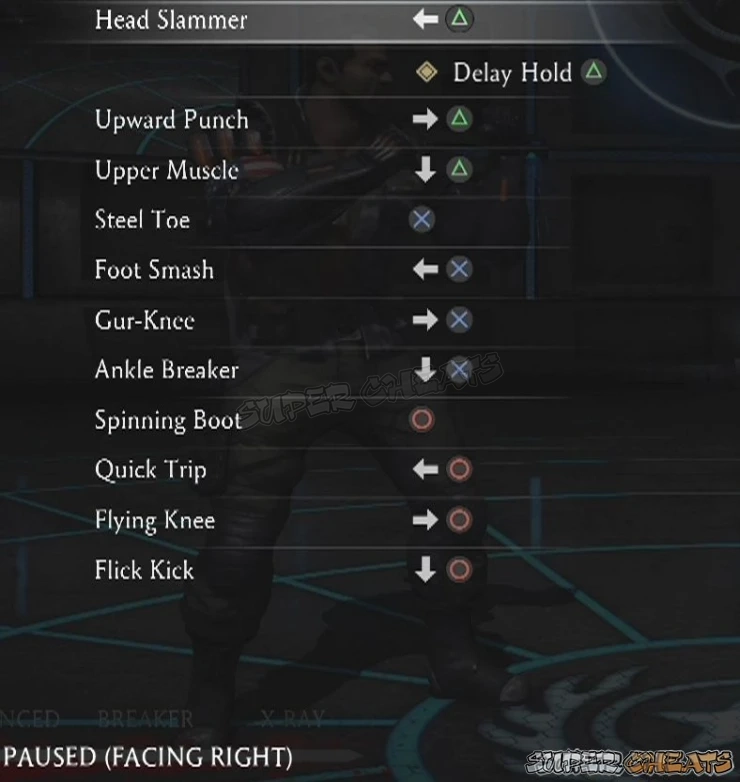 Guide Image