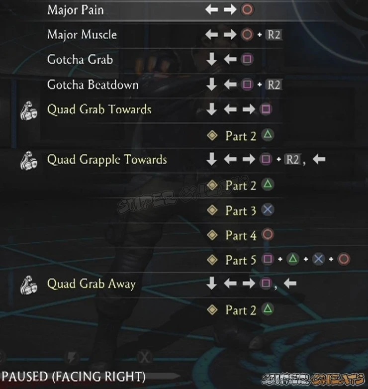 Guide Image
