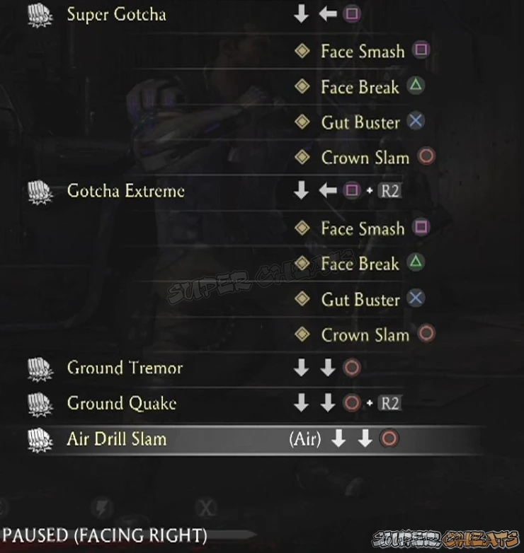 Guide Image