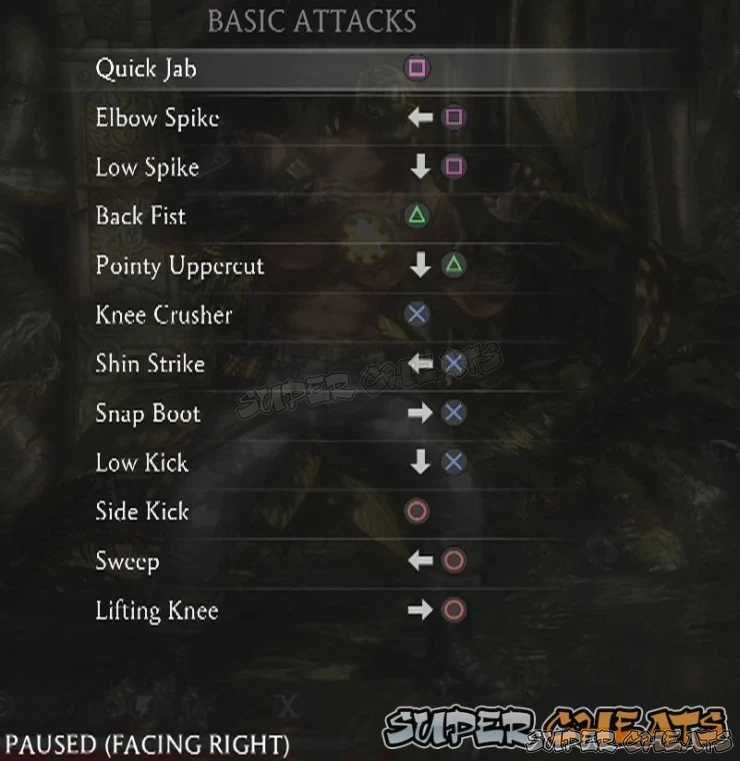 Guide Image
