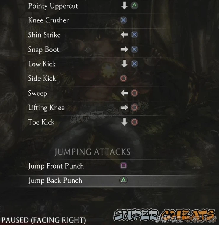 Guide Image