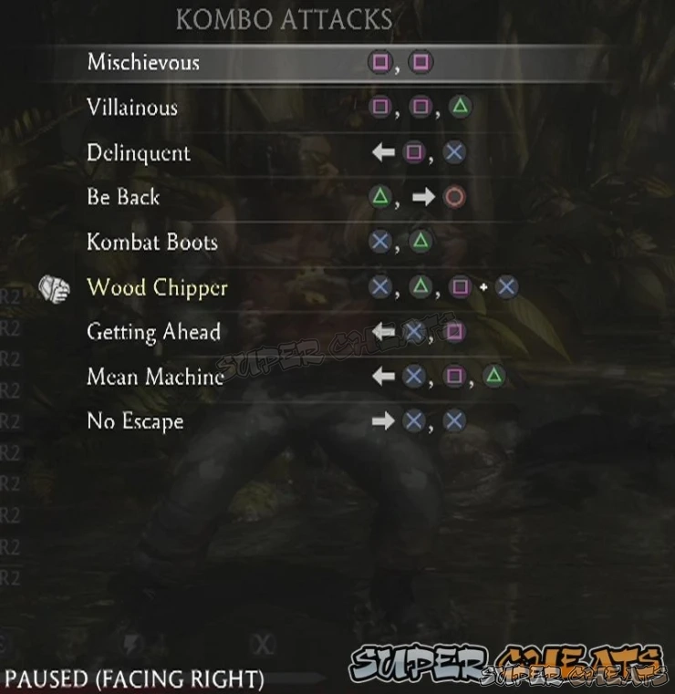 Guide Image