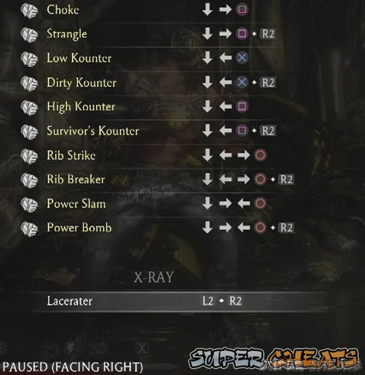Guide Image