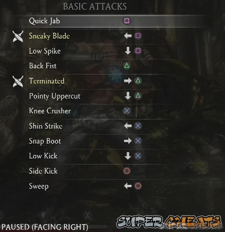 Guide Image