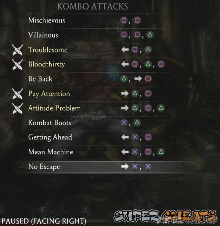 Guide Image