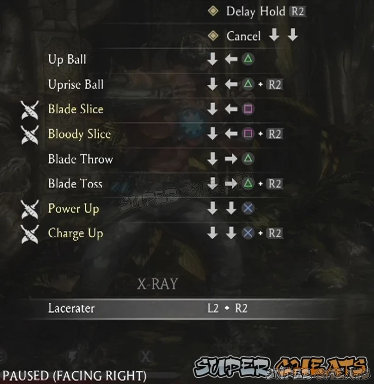 Guide Image