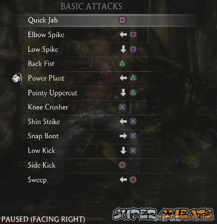Guide Image