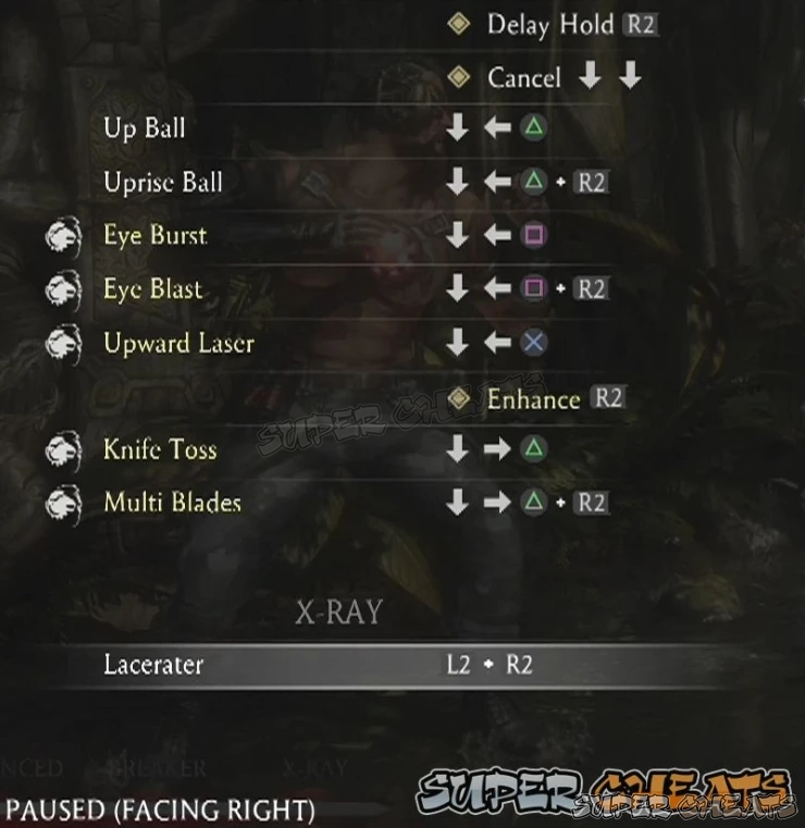 Guide Image