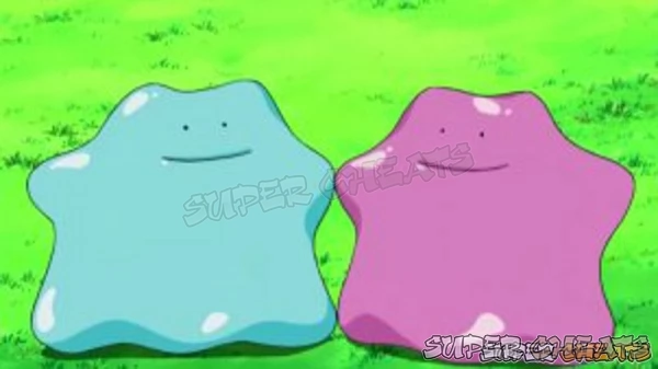 Collecting the two Ditto archetypes is critical for breeding