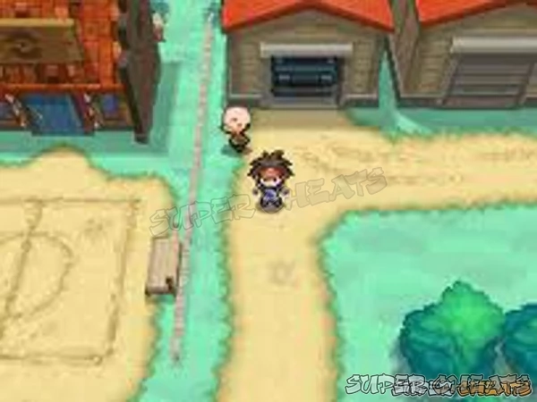 Floccesy Town and Alder's Gym is your first major destination in the game