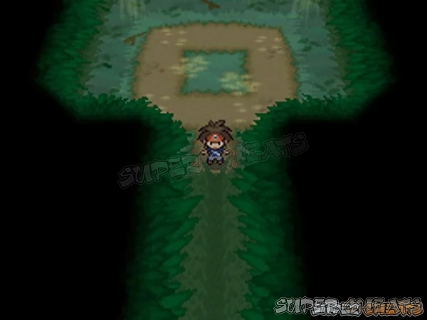 Hidden Grotto's often contain special Pokemon