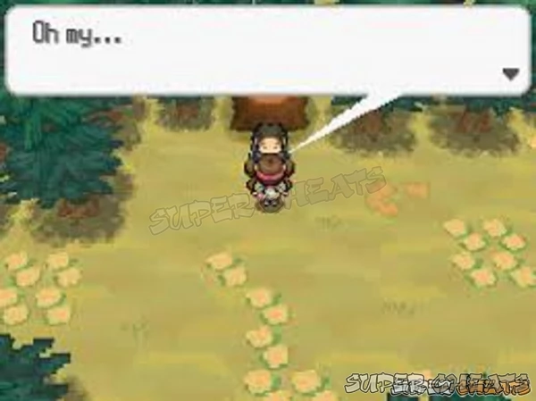 The Losrlorn Forest was where Zoroark was found in the previous game