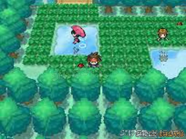 Route 6 above Driftveil City offers XP and new Pokemon to collect