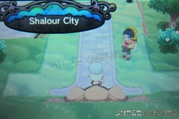 Guide Image Guide Image