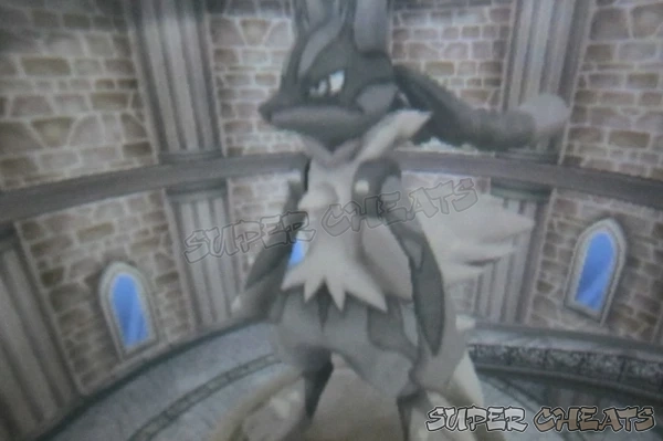 Guide Image Guide Image
