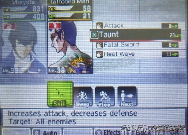Guide Image