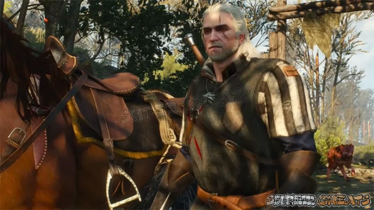 Geralt of Rivia names all of his horses "Roach" - and there is a story behind that but the important point here is horses...  The world is so big that you really could not get around without them.  Horses, yeah, and boats.  And teleporting.  And Fast Travel - oh yeah, Fast Travel is Ta Bomba!